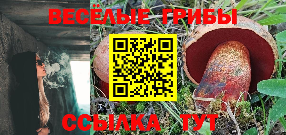 Галлюциногенные грибы Psilocybe Сегежа