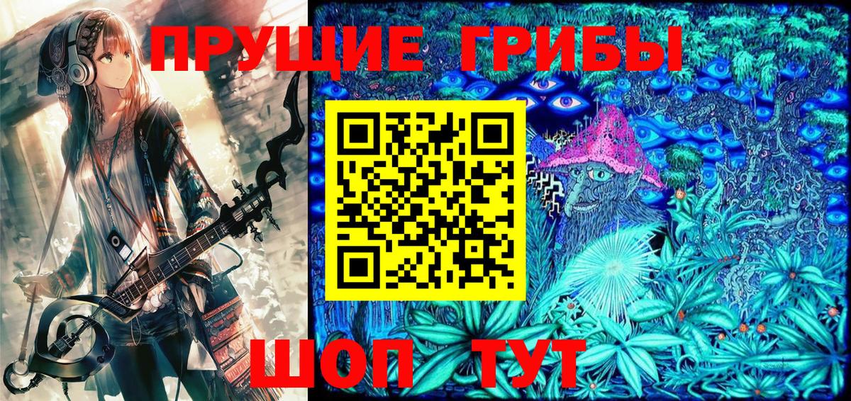 Псилоцибиновые грибы Psilocybine cubensis  Вход с VPN  Сегежа  Псилоцибиновые грибы GOLDEN TEACHER 