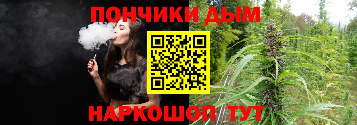 Конопля план  Бошки Шишки индика  Сегежа  Вход с VPN  Марихуана ГИДРОПОН 